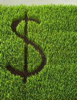 money_grass